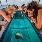 glass bottom boat.jpg