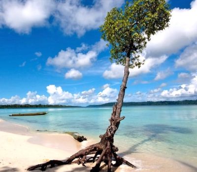 havelock island andaman